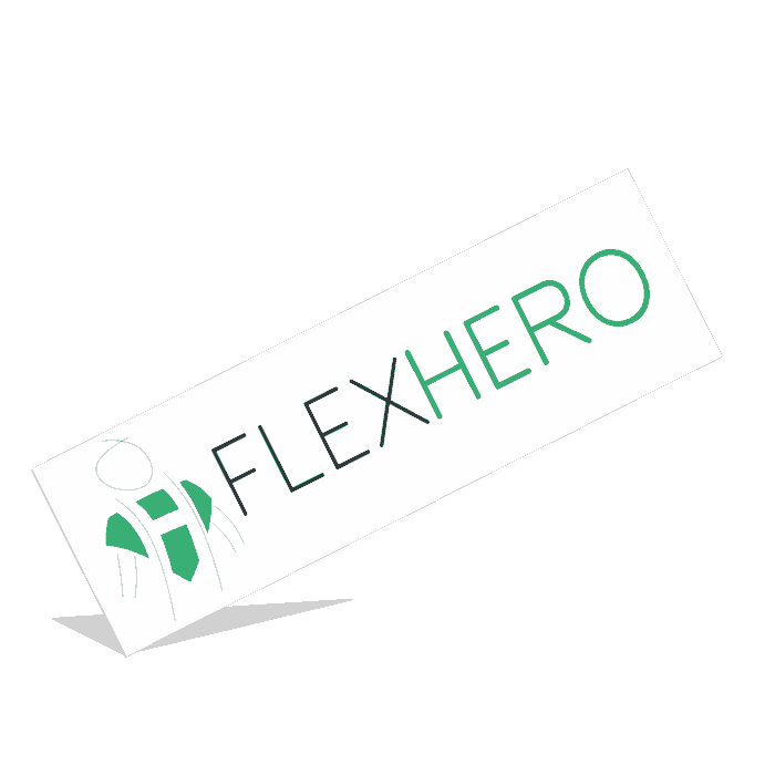 Schriftzug und Logo von FlexHero